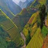 Rakesh