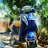 Veenu