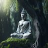 Bikash
