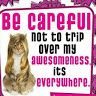 Farheen