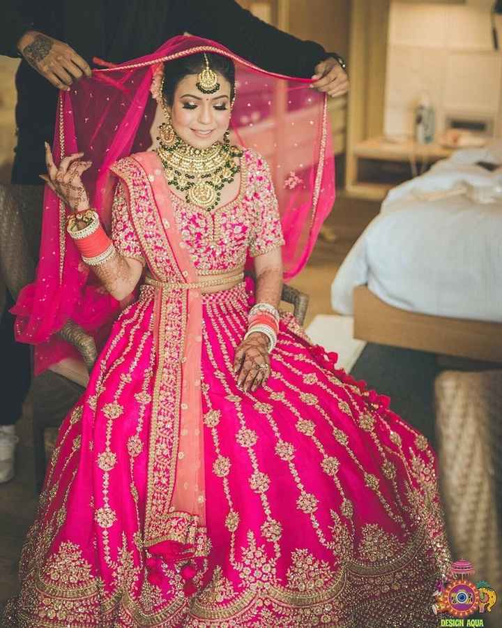 Raani Pink Lehenga