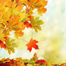 Parvinder