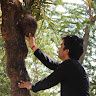 Abhishek