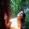 Veena