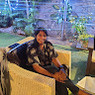 Vinodhini
