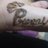 Pintu