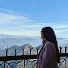 Pallavi