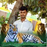 Manju
