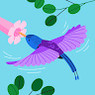 Anurag