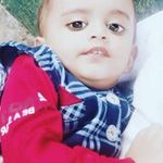 Vipin