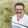 Laxmi