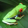 Nishant