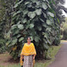 Vatsala