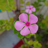 Gurpreet