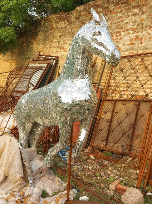 HORSE FIBER WITH MIRROR 
