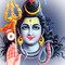 Astrologer