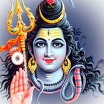 Astrologer