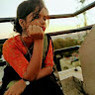 NIBADITA