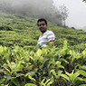 Ronak