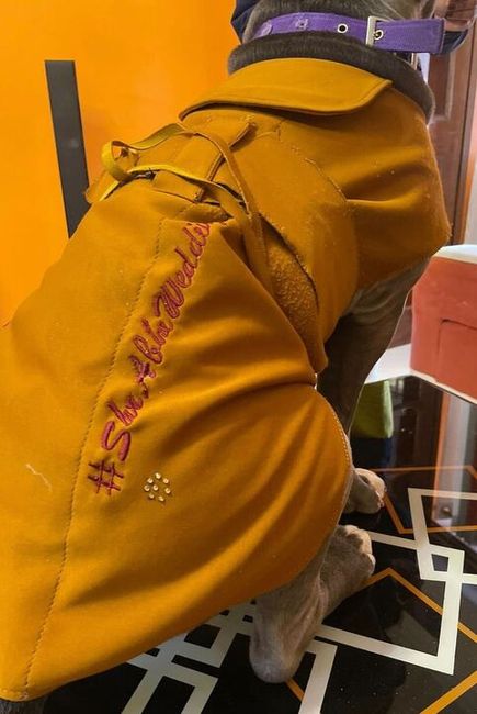 The Pawfect Wedding Hashtag!🐕😍 - 2