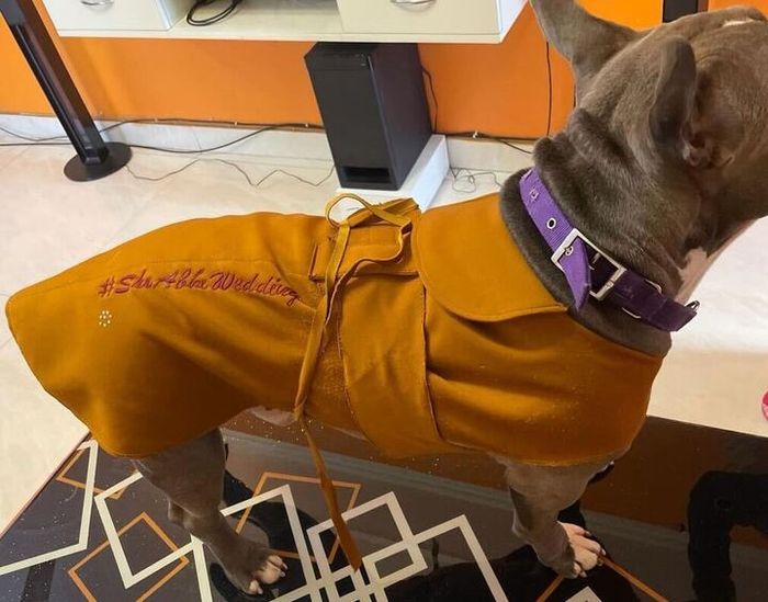 The Pawfect Wedding Hashtag!🐕😍 - 3