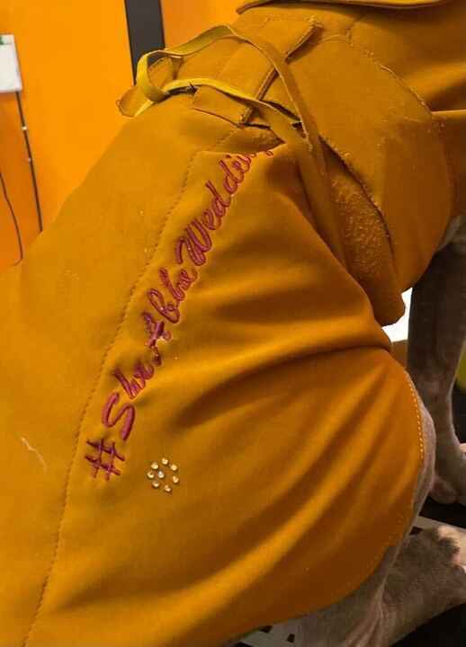 The Pawfect Wedding Hashtag!🐕😍 - 1