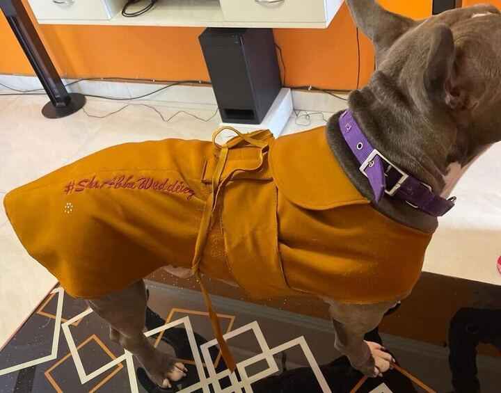 The Pawfect Wedding Hashtag!🐕😍 - 3