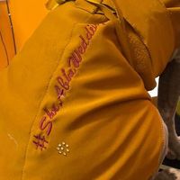 The Pawfect Wedding Hashtag!🐕😍 - 1