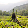 Archana