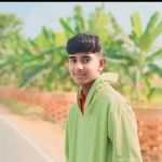 Arnab