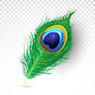 Jai