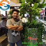 Sanjay