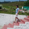 David