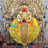 Vipul
