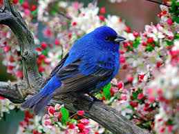 Photo upload test