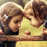 Safa