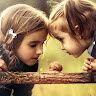 Safa