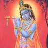 Krishna