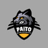 Paito