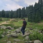 Aman