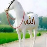 Shafeej
