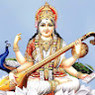 Ronak