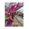 Anshika