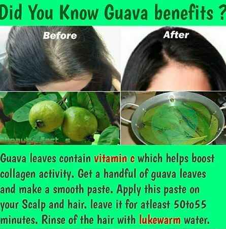 i can bet you would've never heard of this benefit of Guavas - 1