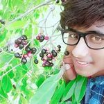 Vinod