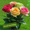 Andraj