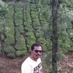 Amar