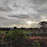 Pubali