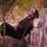 Ankit