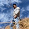 Naveen